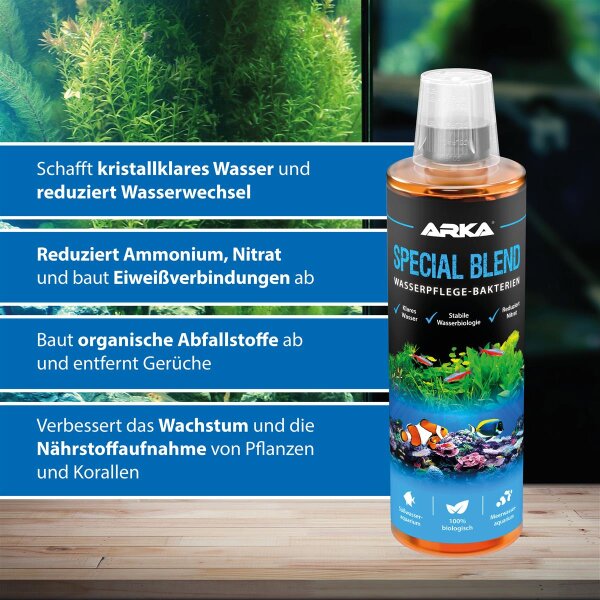 Special Blend 473ml