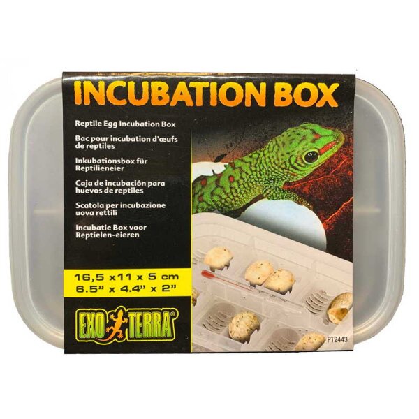 Exo Terra Inkubations Box