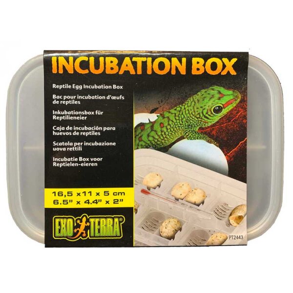 Inkubations Box