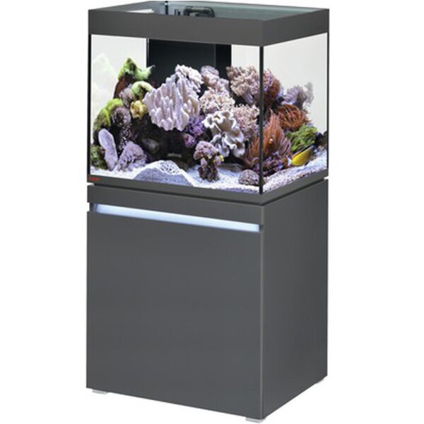Incpiria 230 Reef graphit