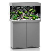 Rio 125 LED SBX grau Kombination