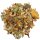 Bearded Dragon Mix Juvenil 35g