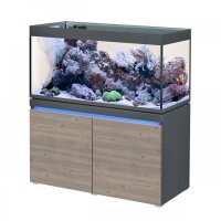 Incpiria 430 Reef graphit/rustik oak
