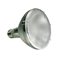 Bright Sun UV Desert 100 W