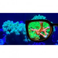 Aqua Medic Coral Glasses