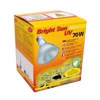 Bright Sun UV Desert 70 W