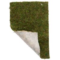 Terrano Moos 100 g