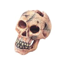 Deko Totenkopf S - 11cm