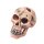 Deko Totenkopf S - 11cm
