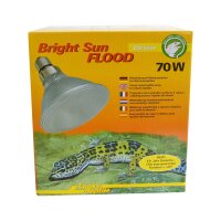 Bright Sun FLOOD Desert 70W