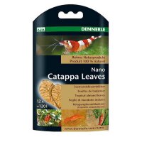 Dennerle Nano Catappa Leaves 12Stk