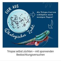 Kosmos Triops-Welt