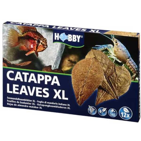 Catappa Leaves XL 12Stk.