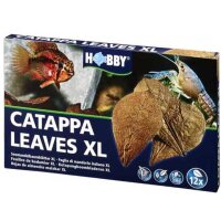 HOBBY Catappa Leaves XL 12Stk.