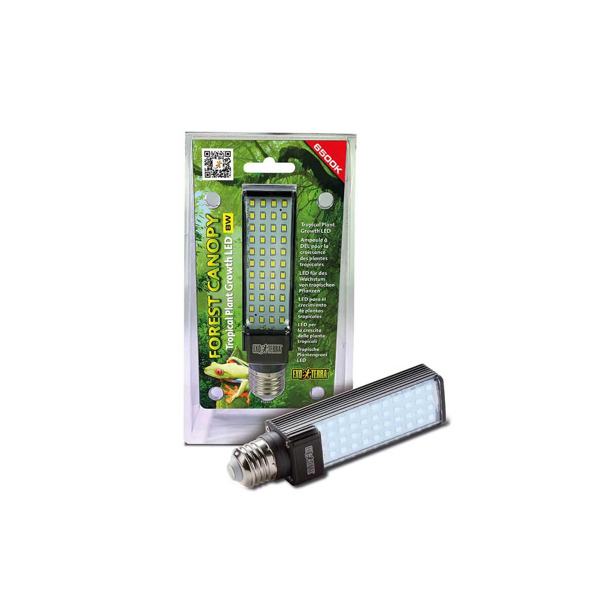 Forest Canopy LED, 23,99