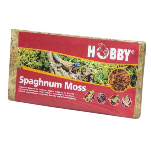 HOBBY Spaghnum Moss 100g