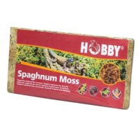 HOBBY Spaghnum Moss 100g