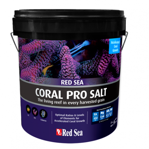 Coral Pro Meersalz 22 kg Eimer