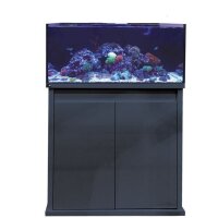 D-D Reef-Pro 900 Anthracite