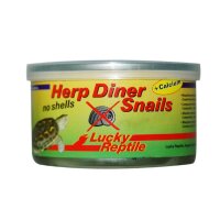 Lucky Reptile Herp Diner Snails "no shell" 35g