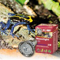 HOBBY Moonlight LED, 3W