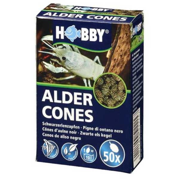 Alder Cones, 50 Stk.