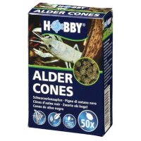 Alder Cones, 50 Stk.