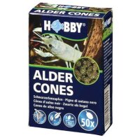 HOBBY Alder Cones, 50 Stk.