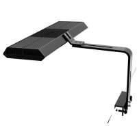 RGB Vivid Mini 75 W schwarz (DE Version)