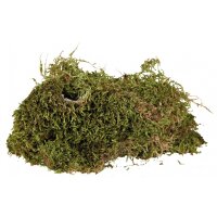 Terrarien-Moos 200g