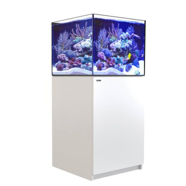 Red Sea REEFER™ 200 System G2+, Schwarz und Weiß - Weiß