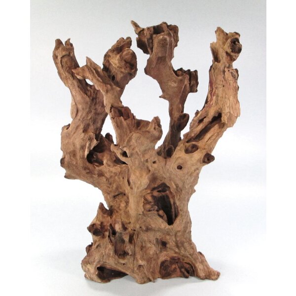 Orbit Barico-Wurzeln - Medium 20 - 30cm