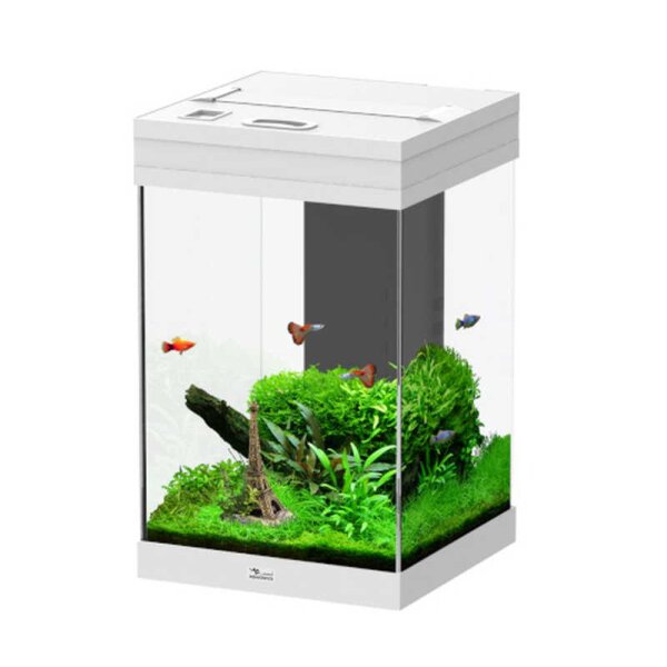 Aquatlantis Aqua Tower 43 (Aquarium 44 Liter) - Piano Weiß