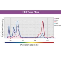 Kessil LED H80 Tuna Flora