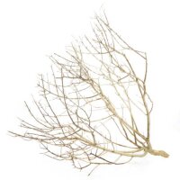 Desert Bush, Größe M