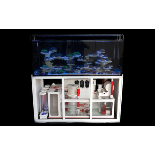 ReefTank Exklusiv mit AP-Filteranlage, 4 Modelle 216-540 Liter - ReefTank 360 Exklusiv