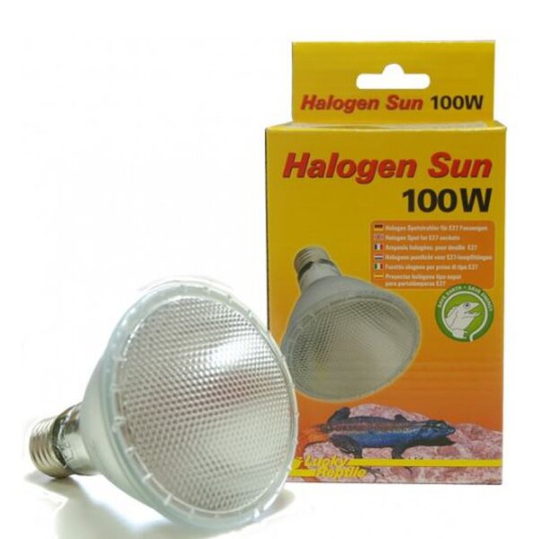 Lucky Reptile Halogen Sun - 100W