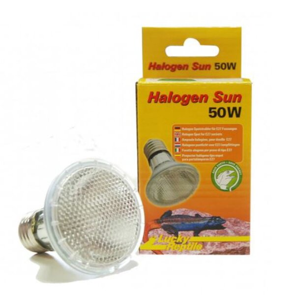 Halogen Sun - 50W