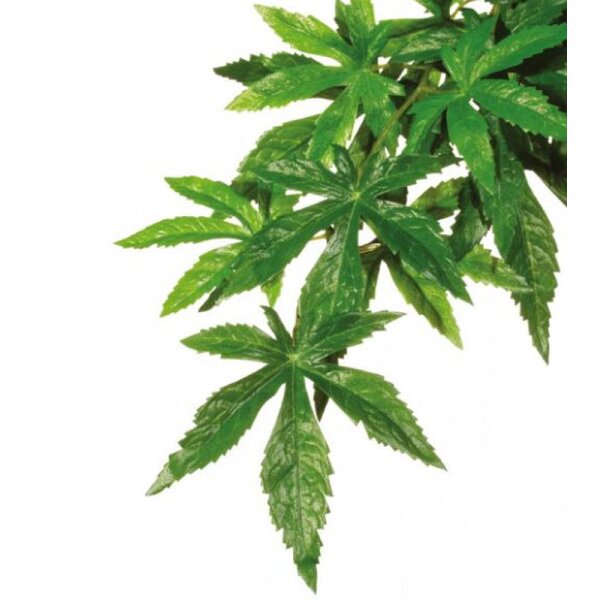 Exo Terra Abuliton - mittel