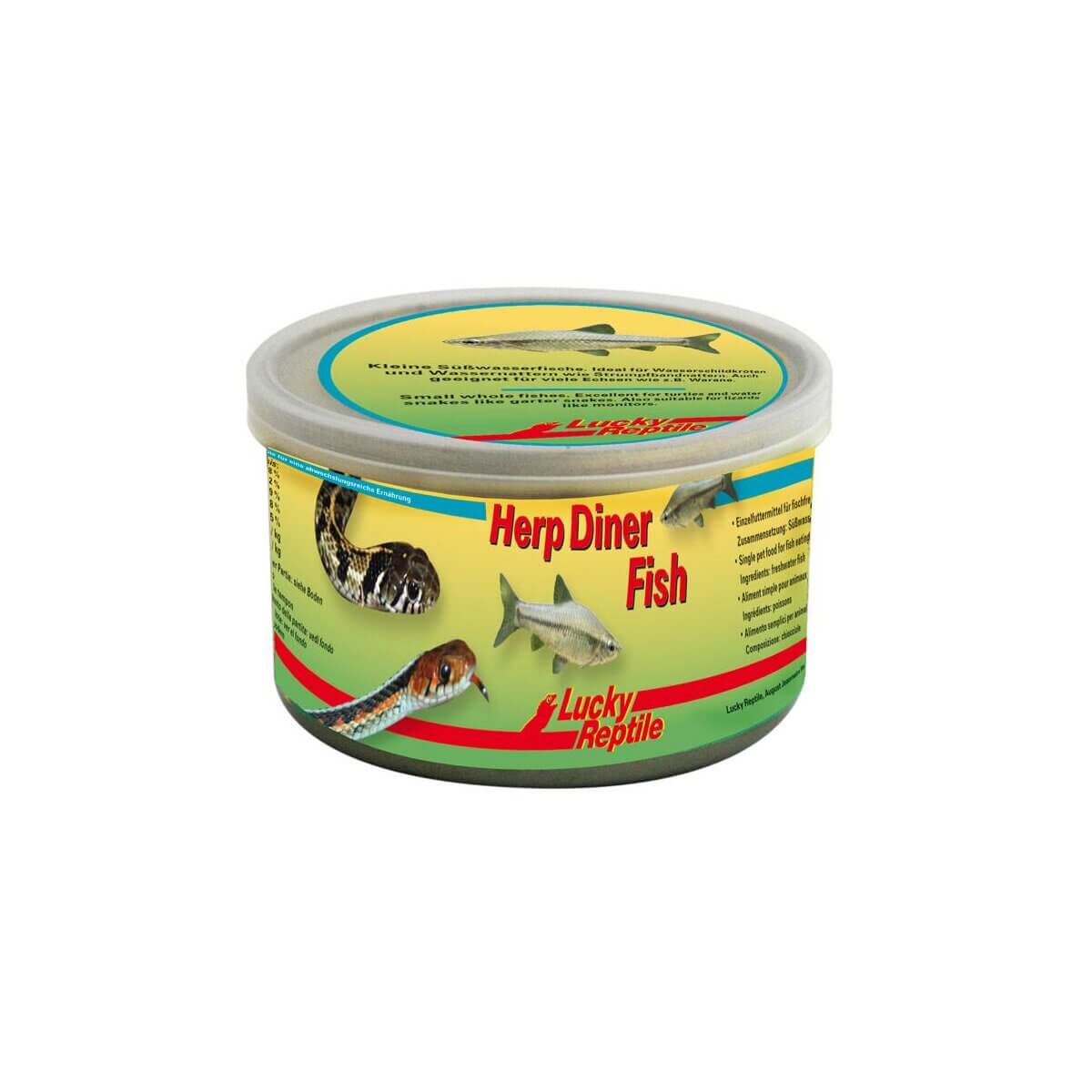 Incubatore Per Uova Di Rettili Lucky Reptile Herp Nursery III – Controllo Termostato 5-40°C, Silenzioso E A Risparmio Energetico