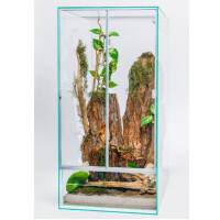 Diversa Hoch-Terrarium aus Glas - 6mm Glas, 60x60x120 cm