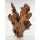 Orbit Barico-Wurzeln - Small 15 - 20cm