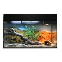 Lucky Reptile Starter Kit 80 cm "Bartagame"...