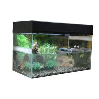 Starter Kit 80 cm "Wasserschildkr&ouml;te" schwarz