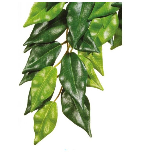 Exo Terra Fikus - mittel