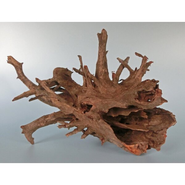 Corbo-Wurzeln 15-50cm