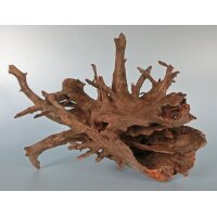 Corbo-Wurzeln 15-50cm