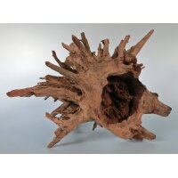 Corbo-Wurzeln 15-50cm
