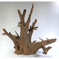 Corbo-Wurzeln 15-50cm
