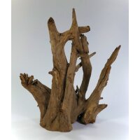 Corbo-Wurzeln 15-50cm